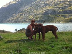 20110821_Makakadi_Auf dem Pass Spluegen da war es schon kaelter_0564